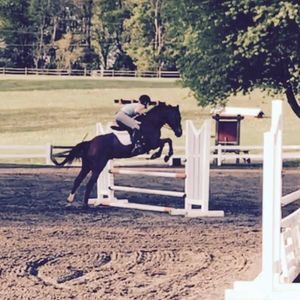 Meet your Posher, Elizabeth